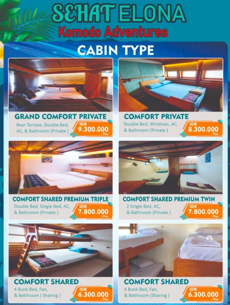Sehat Elona Cruise