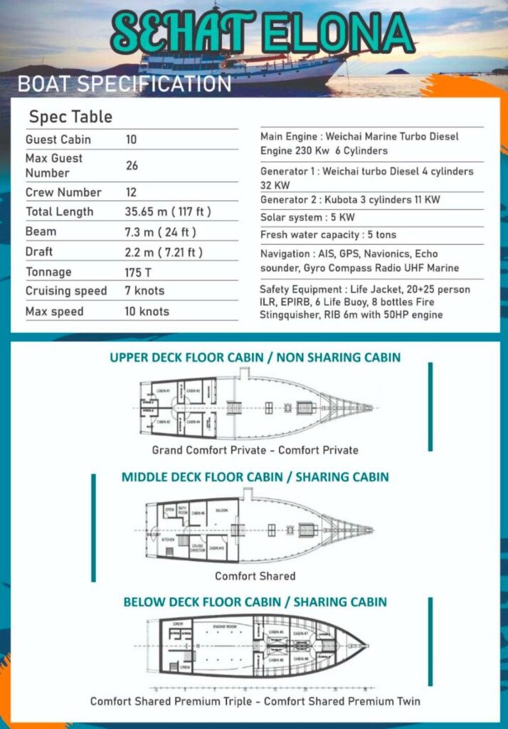 Sehat Elona Cruise